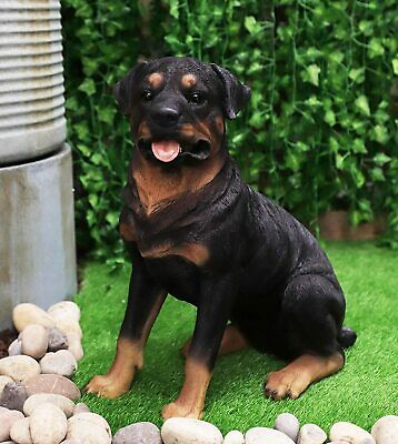 Large Lifelike Realistic Handsome Sitting Rottie Rottweiler Dog Statue 21